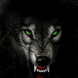 Meet your Posher, Timothy